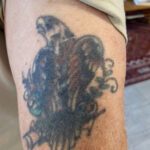 Foto av äldre, något suddig tatuering föreställande en örn sittande på gren. Örnen har brun fjäderdräkt, vitt huvud samt gröna och gula detaljer. Skuggorna är tungt svarta.